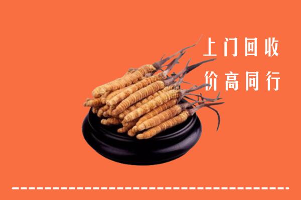 泉州回收冬虫夏草